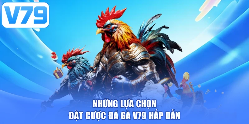 Những lựa chọn đặt cược đá gà V79 hấp dẫn