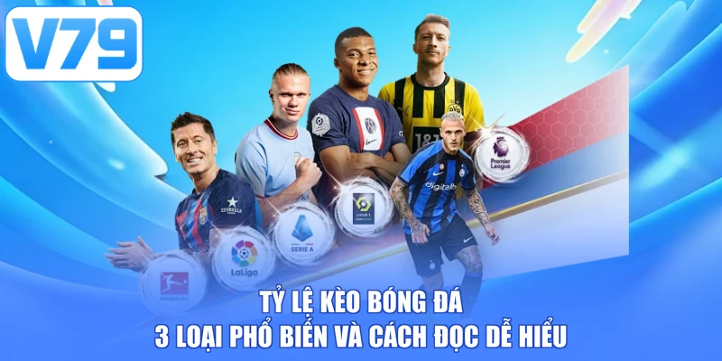 Tỷ Lệ Kèo Bóng Đá - 3 Loại Phổ Biến Và Cách Đọc Dễ Hiểu